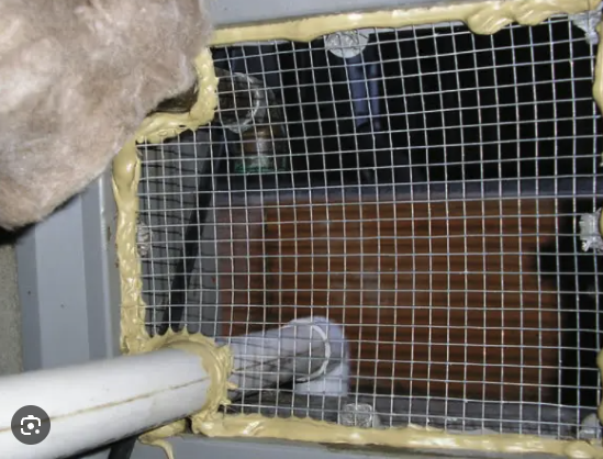 Picture #1 Mesh & foam